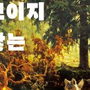 북웜 이미지