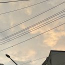 호텔시카고 2호점 이미지