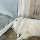 탕화쿵푸 마라탕 석정점 이미지