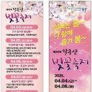 설레는봄 팔공산 벚꽃축제 미스미스터 이미지