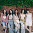 카라 미디어 이미지
