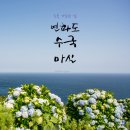 제439회 (특별 산행) 경남 통영 연화 도 수국꽃 섬 산행(2024.6.29) 이미지