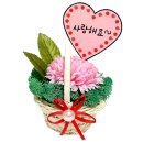 스칸디아모스 카네이션 바구니 만들기 이미지