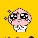 옐로우호시