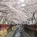 제64회 전국학생음악경연대회 | 명지 피아노학원의 콩쿨 대작전(?) By 신호동 아이들