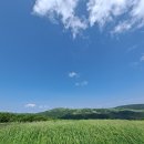 병정목장 이미지