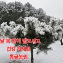 ⚘️1월 29일 설날 수요일 강방 출석부⚘️ 이미지