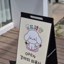 포일로 | 의왕 애견미용 잘하는 곳 찾는다면? 15년 경력 전문가 &#39;몽드리안&#39; 시술 후기
