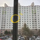 장유대성복지재단 | 창원방충망 시공 잘하는 곳 오래가는 블랙스텐 미세방충망 교체