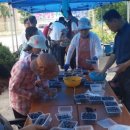 당리푸른 이미지