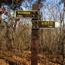 비내길 2구간 이미지