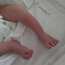 더플라워 산후조리원 일산점 | 더플라워산후조리원 입소,마사지 ~조기퇴소까지 기록.