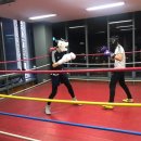 중산권투체육관 이미지