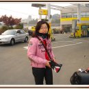 임고주유소 이미지