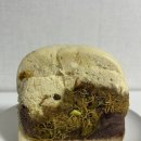 옥산로 | 대구 북구 빵 맛집 크럼키 샌드베이글 내돈내산 후기 주차