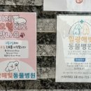 일광해빛동물병원 이미지