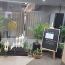 박승룡한의원 | 세종 산후조리원 비교 연세vs드이자르vs르보아 투어후기(세종조리원 마사지 추가비용 1회당비용,1분당비...