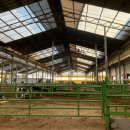 김포목장 이미지