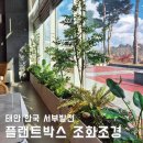 관공서 조화조경, 태안 한국서부발전 직원식당, 고급 리얼 플랜트박스!