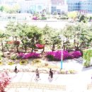 경복여자고등학교 Daum카페