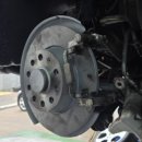 수컷웅샵 이미지