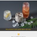원에프엔티