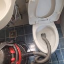 봉곡동010 | 구미 봉곡동 변기막힘 걱정 뚝!!