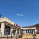 꽃피는화덕피자D485 | 안동양식맛집 안동피자맛집 꽃피는화덕피자D485 안동점 방문후기