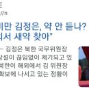 김정은 살빼는 약 찾는중 이미지