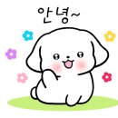아라치치킨김포 이미지
