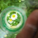 슬기로운 스마트폰 활용 이미지