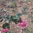 달마약수터 이미지