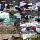 끼리끼리 한국경제