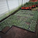 순덕농장 이미지