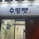 수밍펫 네이버블로그
