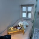 세븐일레븐 수원삼성원룸점 | 원룸텔 수원 무보증 원룸 검색 후 결정 편안하고 깔끔 후기