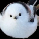 【흰머리오목눈이 Long-tailed tit】 「세상에서 가장 귀여운 새, 눈의 요정」 이미지