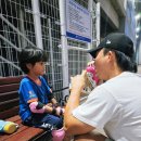 인라인경기장 | 수원인라인강습 월드컵경기장 포레스트스키 인라인센터 어린이 강습후기