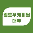 옐로우캐피탈대부 (주)