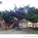 신이문역 이미지