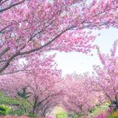 만수노인복지원 이미지