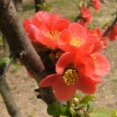 시장무도장 이미지