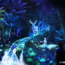 미디어아트<오로라를 이미지