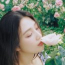 조이베이커리 이미지
