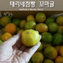 과일점빵 이미지
