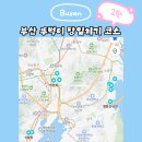 부산 뚜벅이 여행 당일치기 코스 2탄 밤산책방 센티멘탈노트