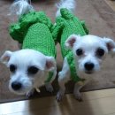 안녕, 애기 이미지