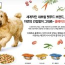 치킨베네