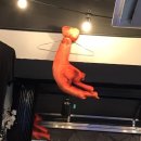 이화포차 | 상봉술집 닭발맛집 힙한 감성포차 추천 이화주방 찐후기