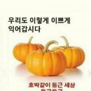 11월 9~10 주말 출석부 이미지